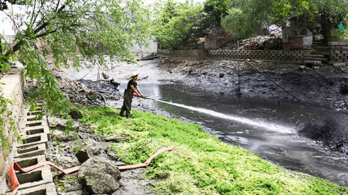 河道管理不能只注重景观而忽略了生态保护